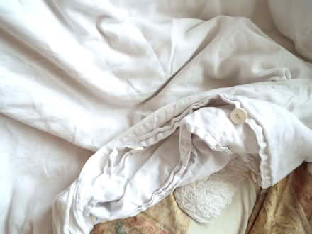 Photo of free 3 x white 100% cotton king size duvet covers (Bingham NG13) #4
