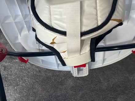 Photo of free Baby Trend walker (Downers Grove - South) #4