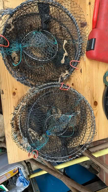 Photo of free 2 x expanding fishing traps (Castlepoint BH8) #1