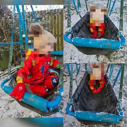 Photo of free Basket Swing (SK14) #1