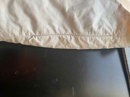 Photo of free Zen leaf buckwheat pillow (Northbrook) #2