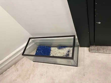 Photo of free Aquarium (Upper Westside) #1