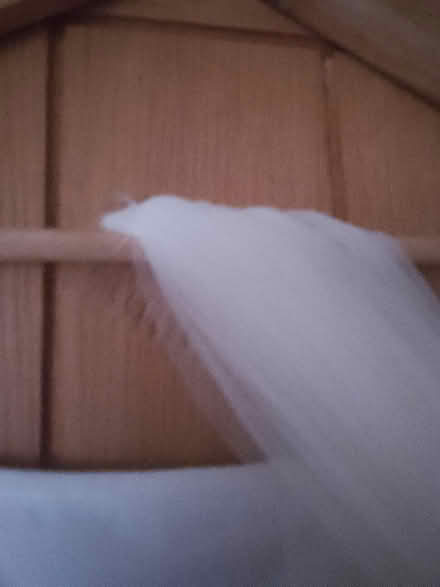 Photo of free Wedding dress size 10 and veil (Harrogate. HG1.) #1
