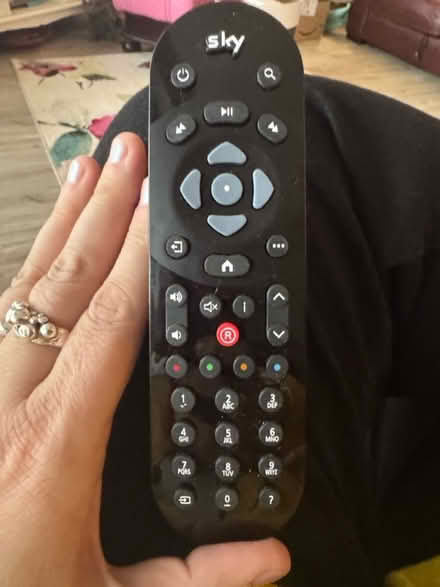 Photo of free Brand new sky remote (Dawlish Devon EX7) #1