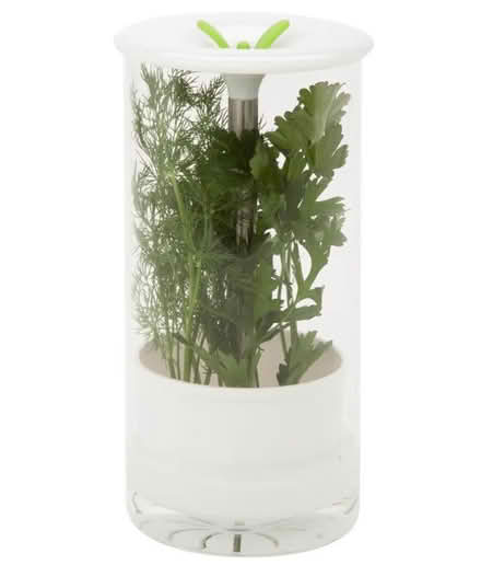 Photo of free Herb keeper/ preserver (Upper West side. West 83.) #2