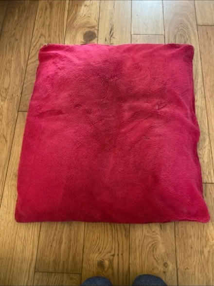 Photo of free Large Floor Cushion (Cheshunt En8) #1