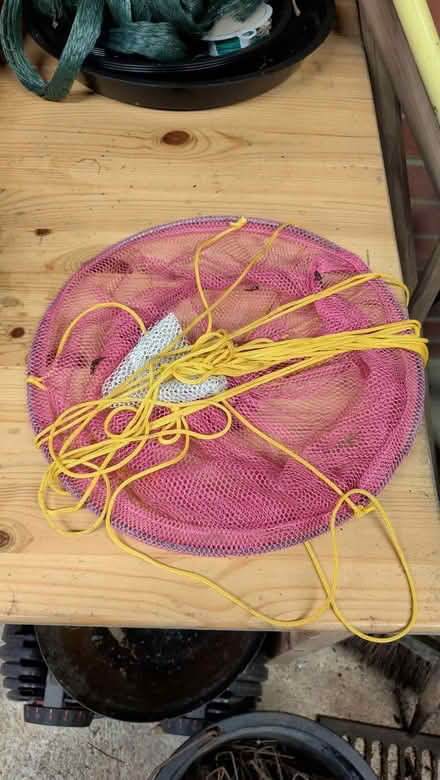 Photo of free Kids crab trap (Castlepoint BH8) #1