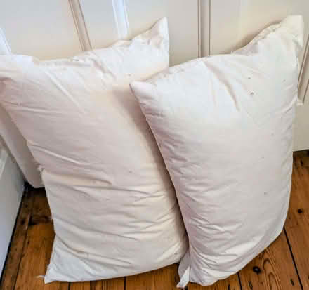 Photo of free Two old down pillows (Chalkwell SS9) #1