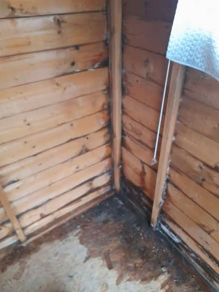 Photo of free Shed 6 x 8 (Stisted CM77) #3