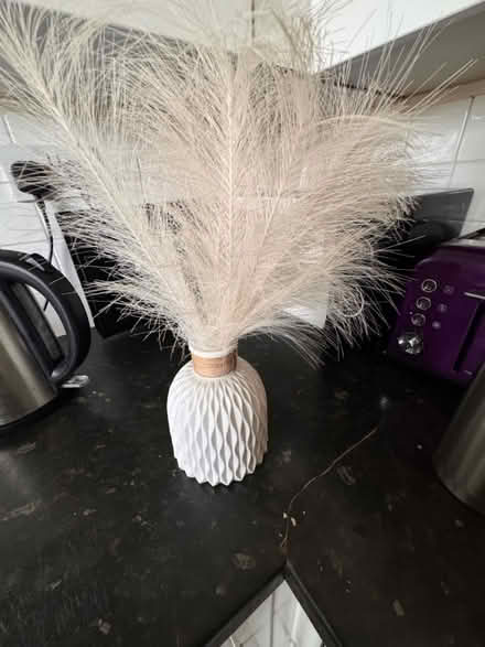 Photo of free White Vase with Pampas Grass (Hemel Hempstead HP2) #2