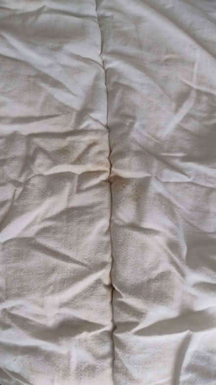 Photo of free Two single winter duvets (Thorpe Bay SS3) #3