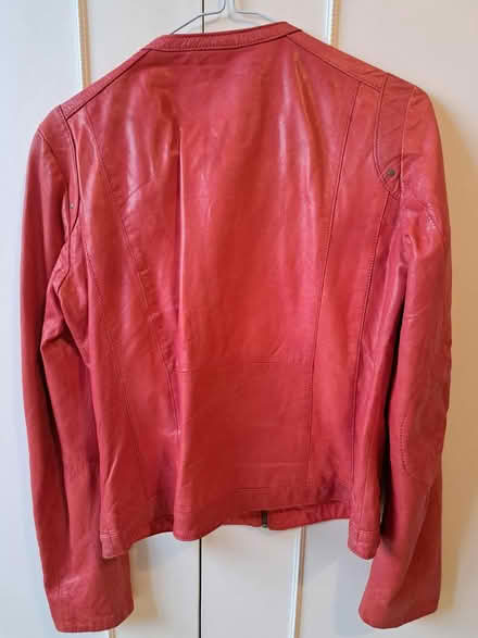 Photo of free Size M (SS11) #3