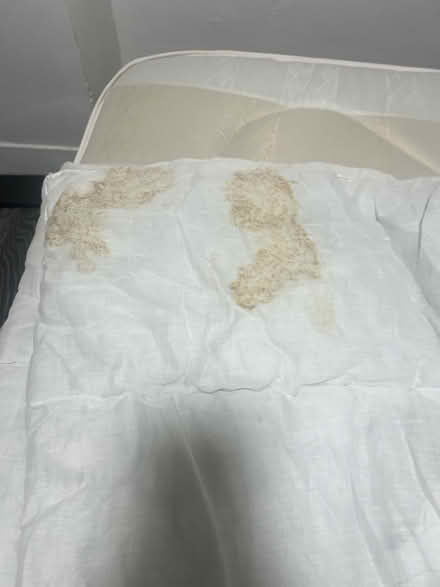 Photo of free Duvet, fleece blanket and pillows (N19) #2