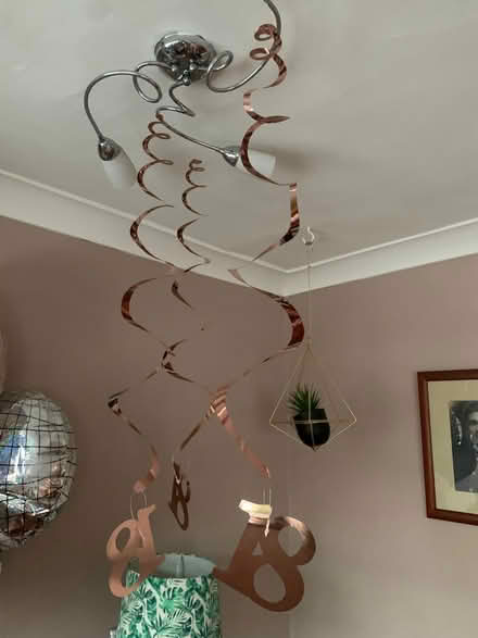 Photo of free Girls 18th birthday devs plus cake decorations (Buxton Central SK17) #2