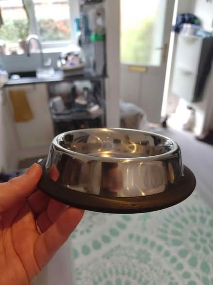 Photo of free Cat/dog/pet food bowls (Tooting, SW17) #3