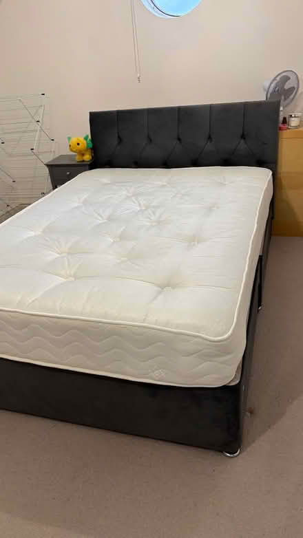 Photo of free Double bed, barely used (Sandhurst GU47) #3