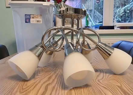 Photo of free Ceiling light (Horsham) #1