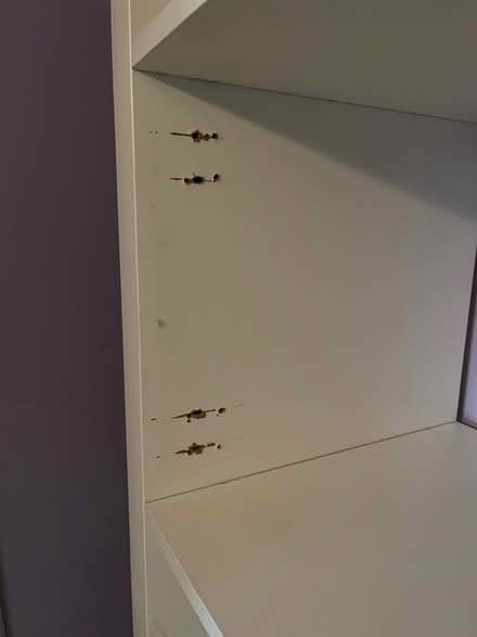 Photo of free 5 cube x 5 cube Kallax unit (Fishermead MK6) #3