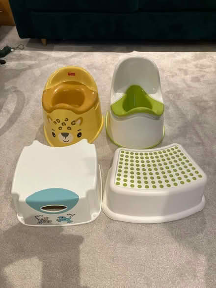 Photo of free Potties and toddler steps (Bishops Waltham SO32) #1