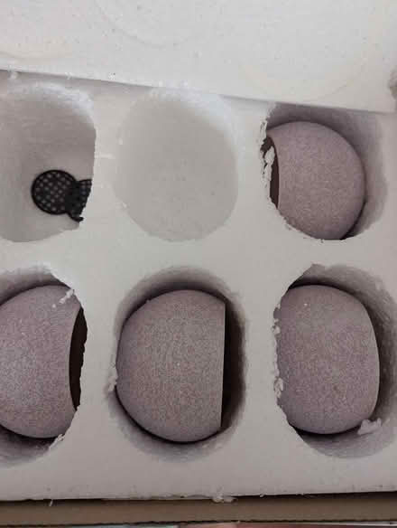 Photo of free 4 succulent pots (63rd& main, DG) #1