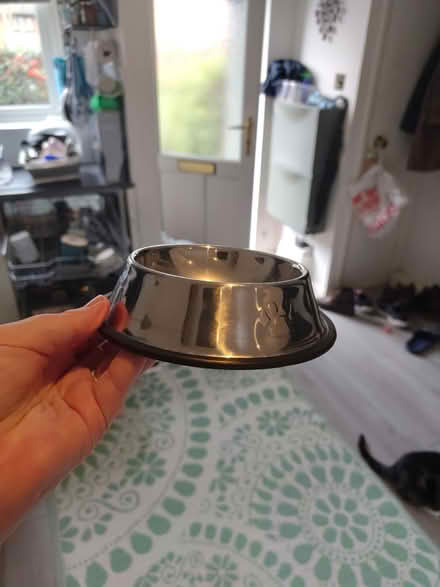 Photo of free Cat/dog/pet food bowls (Tooting, SW17) #2
