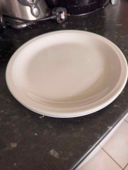Photo of free 2 Plain white dinner plates (Hemel Hempstead HP2) #2