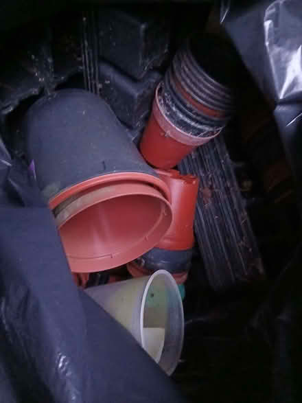 Photo of free Garden plastic pots (Lea Cross SY5) #3