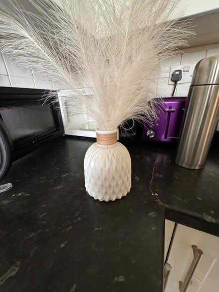 Photo of free White Vase with Pampas Grass (Hemel Hempstead HP2) #1