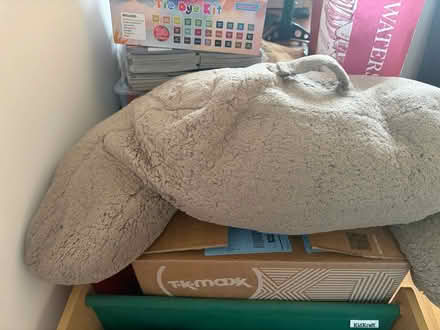 Photo of free Support cushion (West st Leonard’s TN38) #1