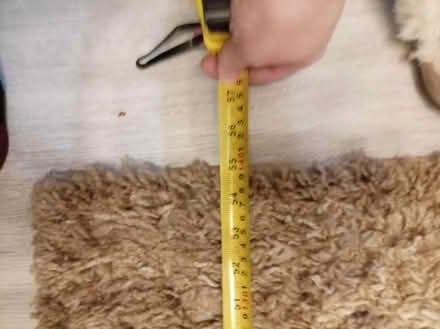 Photo of free Brown rug (Tudeley) #2