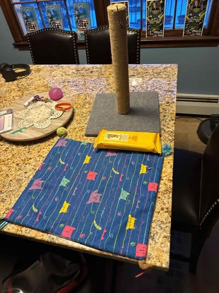 Photo of free Cat stuff (Far West side of Danbury) #1