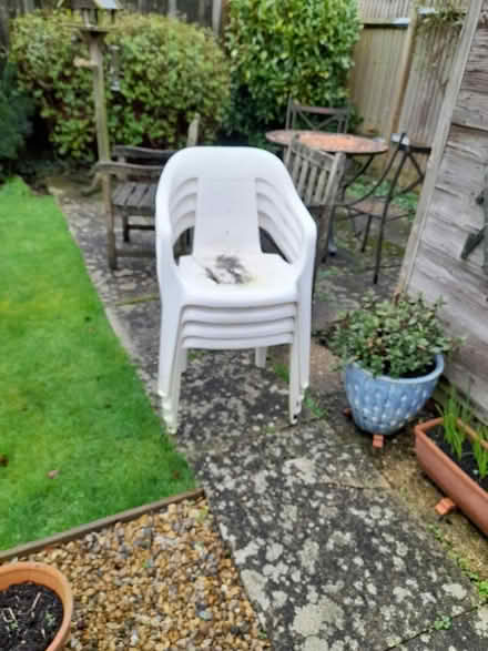 Photo of free 4 white chairs (Chart sutton ME17) #1