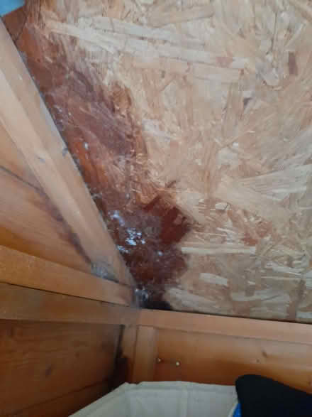 Photo of free Shed 6 x 8 (Stisted CM77) #4