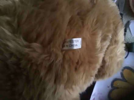 Photo of free Teddy 1 (Wescott RG40) #1