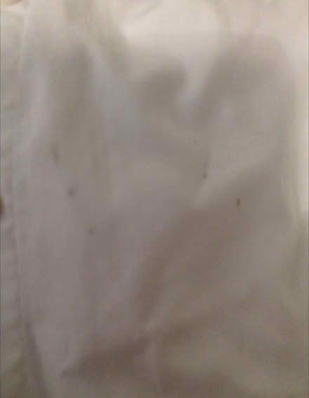 Photo of free Three age 12 long sleeve shirts (Kempston MK42) #2