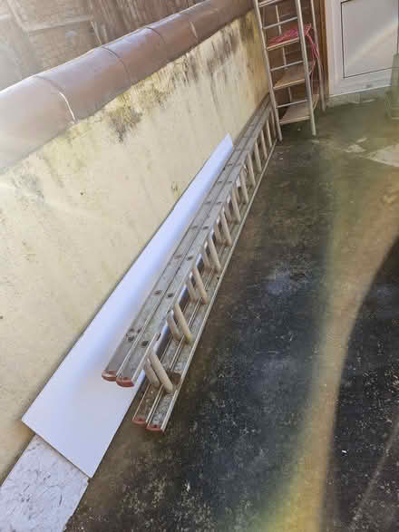 Photo of free 3.5m ladder (West End LA3) #1