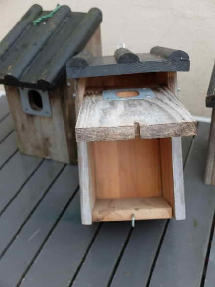 Photo of free Three Vivara Timber Bird Boxes (WV3 Chapel Ash) #3