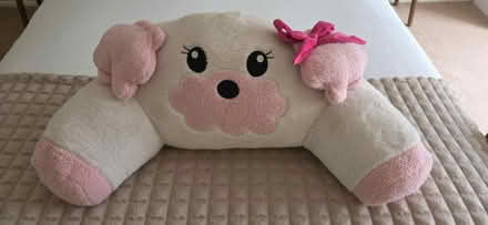 Photo of free Childrens snuggle cushion (Woodcote Rg8 0sg) #1