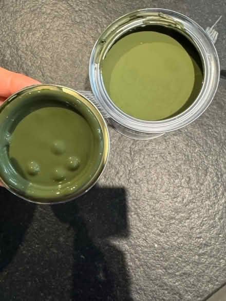 Photo of free Dark olive green paint (SE11) #2
