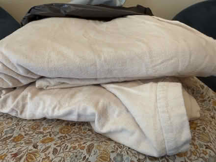 Photo of free Flannelette Flat Sheet (Canterbury) #1