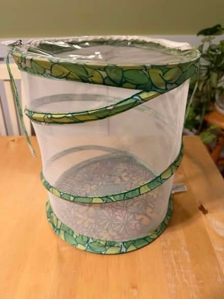 Photo of free Butterfly Hatchery (Yorktown) #2