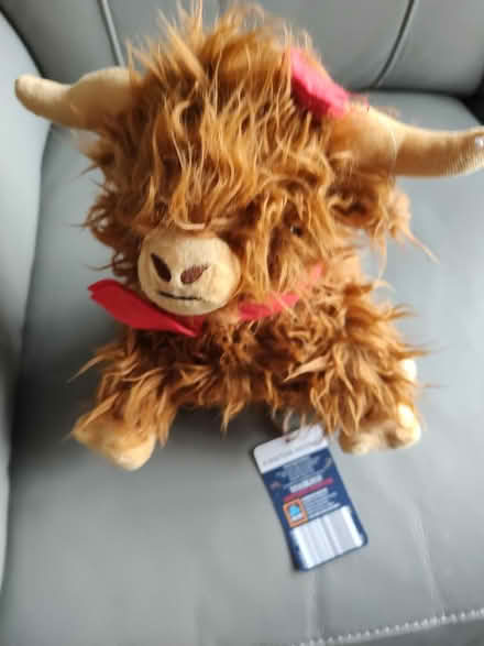 Photo of free Highland cow door stop (Leighton Buzzard LU7) #1