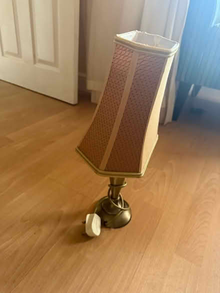 Photo of free Decorative light (West Felton SY11) #2