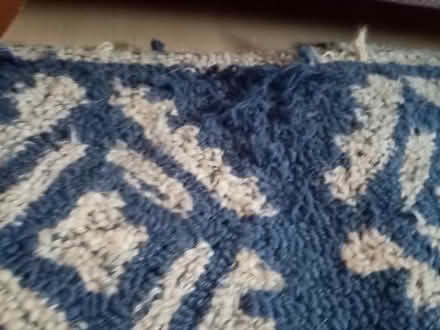 Photo of free 100% wool rug (Pimlico, SW1) #3