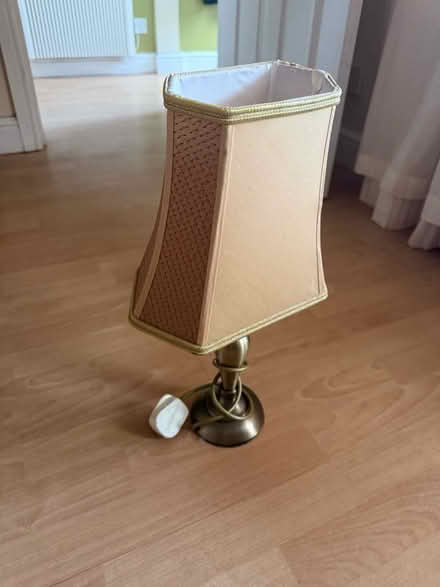 Photo of free Decorative light (West Felton SY11) #1