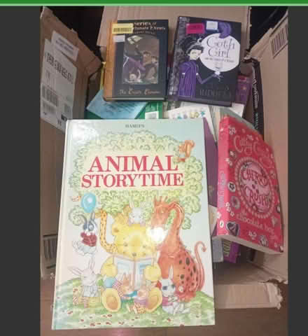 Photo of free Children's books (TN34 blacklands) #1