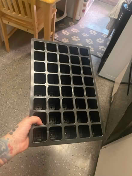 Photo of free 3 Seeding trays (69th Ave btw 60th Ln & 60th st) #1