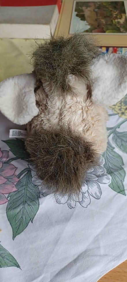 Photo of free Tiger furby (B63 halesowen) #1