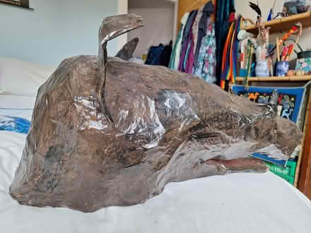 Photo of free Paper mache boar's head (Nether Edge Sheffield S7) #3