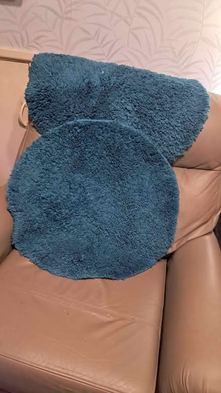 Photo of free 2 circular bath mats (EX2) #3